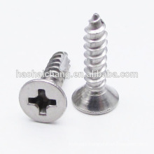 Hardware Manufacturer Custom Self Tapping Phillips Pan Head Small Screws